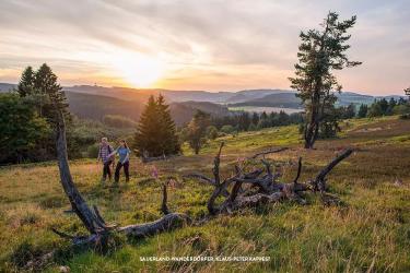 willingen